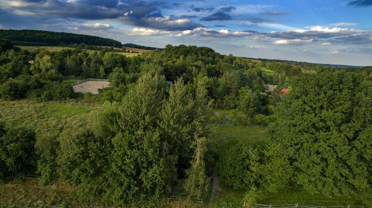 Villa Ekoturystyka Nowina Nowina  Exterior foto